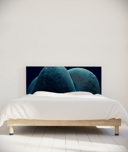 Tête de lit 160 cm Bleu Paola Guigou Cacteros I