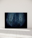 Tête de lit 160 cm Noir Paola Guigou Cacteros II