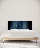 Tête de lit 160 cm Noir Paola Guigou Cacteros II