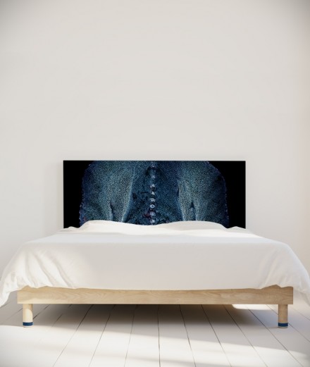 Tête de lit 160 cm Noir Paola Guigou Cacteros II