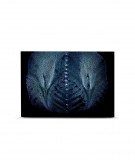 Tête de lit 160 cm Noir Paola Guigou Cacteros II