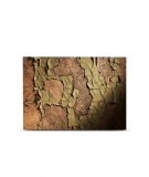 Tête de lit 160 cm Marron Barbara Formica Hôtel