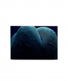 Tête de lit 160 cm Bleu Paola Guigou Cacteros I