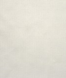 myquintus Colors Ecru